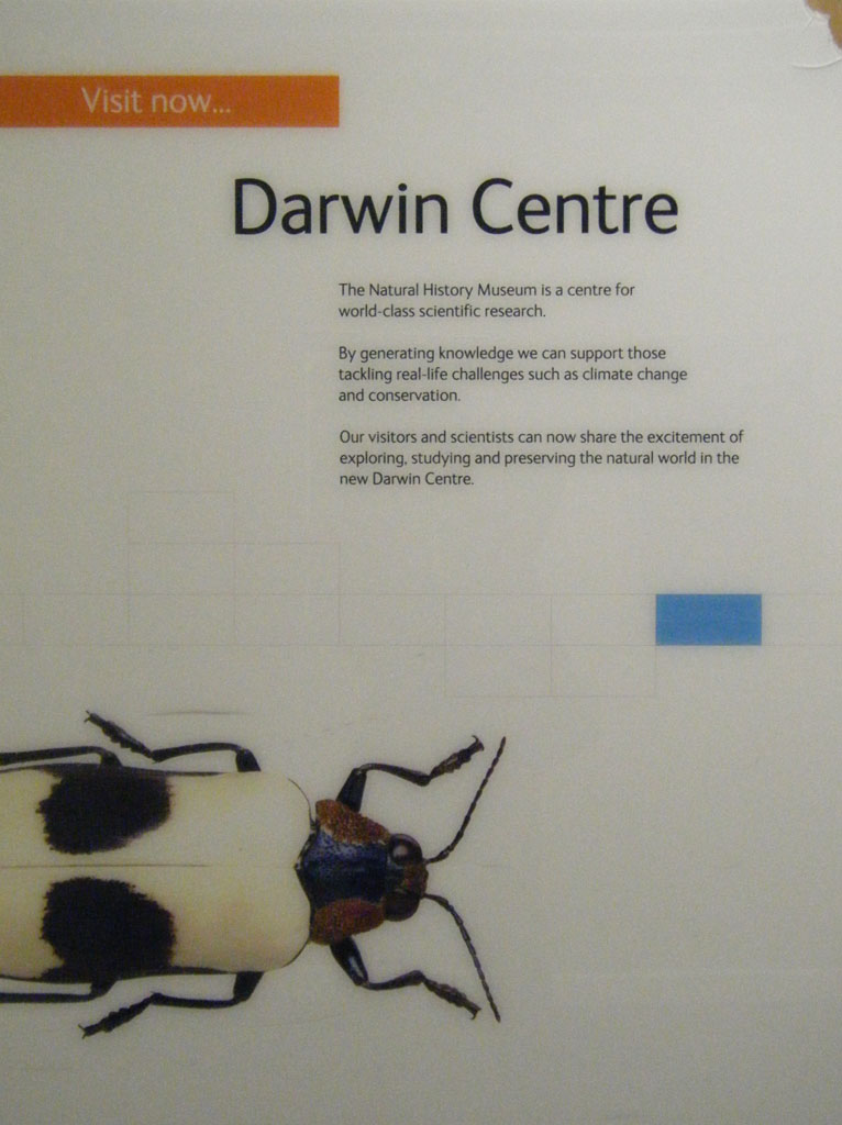 Click to enlarge image darwincenter01.jpg