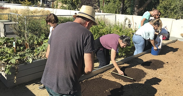 L’Escola participa en la formació per al professorat de Naturalització d’horts i jardins escolars d’Escoles + Sostenibles